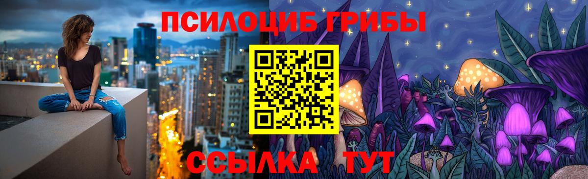Галлюциногенные грибы Psilocybe  Вход с VPN  Вятские Поляны 